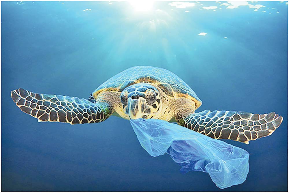 Ways to Combat Plastic Pollution in Bangladesh